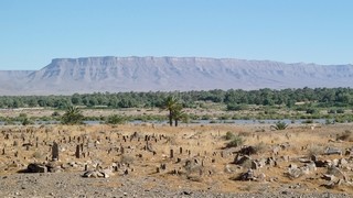 Vallee de l'oued Draa   |   43  /  47    |